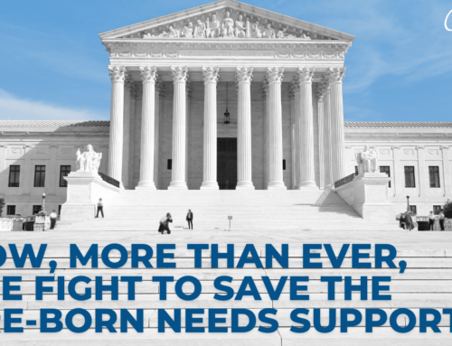 Now, More Than Ever, the Fight To Save the Pre-Born Needs Support