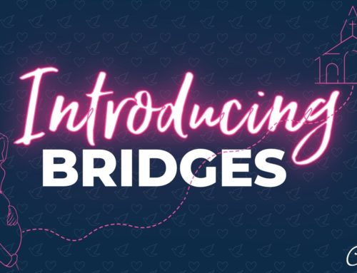 Introducing Bridges