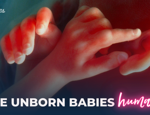 Are Unborn Babies Human?